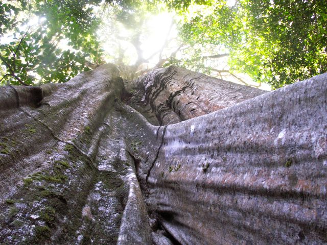 KONICA MINOLTA DIGITAL CAMERA