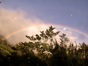 KONICA MINOLTA DIGITAL CAMERA