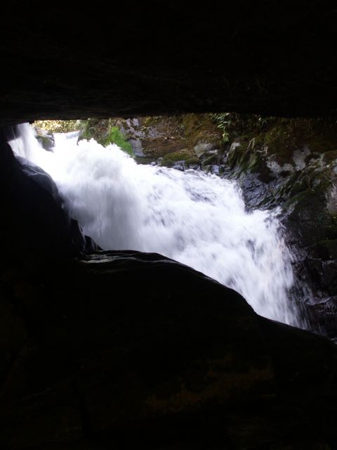 KONICA MINOLTA DIGITAL CAMERA