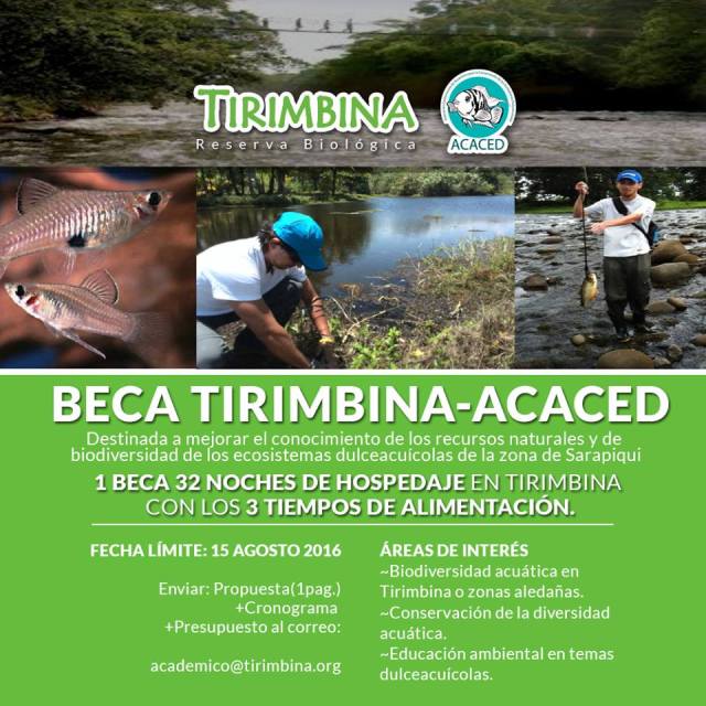 13533366_608674182633703_6207417012212010806_n